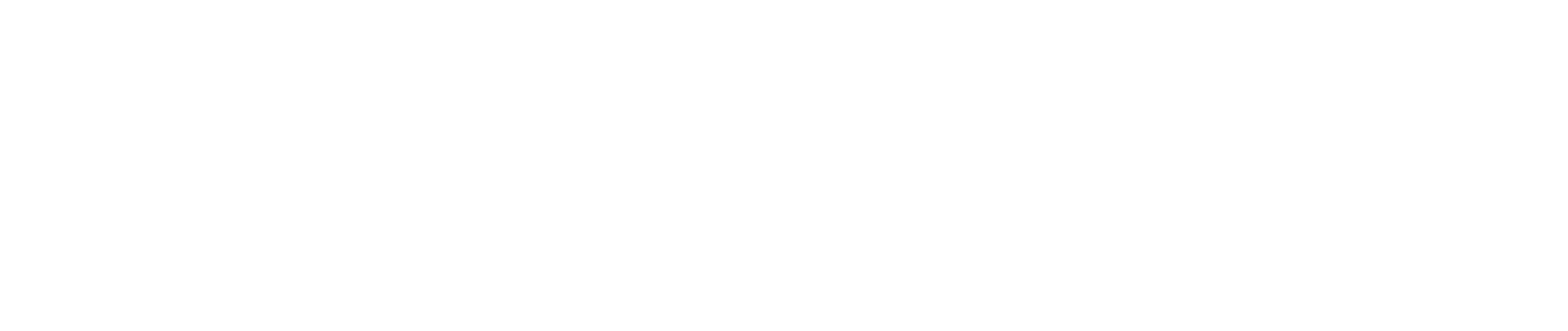 Nochumson P.C. Logo